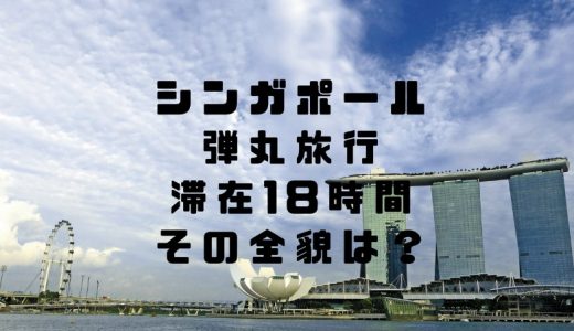 シンガポール弾丸0泊3日！滞在18時間旅行の中身をお見せします