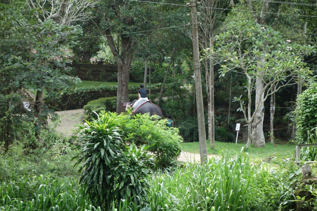 f:id:traveler_da1:20170903094632j:plain