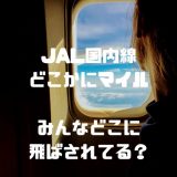 【関空追加！】JALミステリーツアー『どこかにマイル』とは？わずか6,000マイルで無料旅行は史上最強のおトクさ！