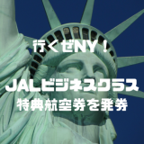 家族でマイル旅行、ニューヨークへ！JALビジネスクラス4席の特典航空券を発券