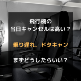 飛行機を当日キャンセル、どうしたらいい？もし乗り遅れたらキャンセル料はどうなる？