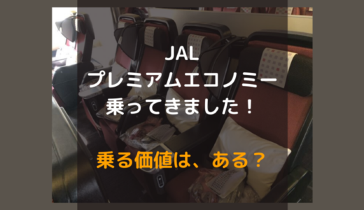 【追加料金でアップグレードも可】JALプレミアムエコノミーで14時間の旅。エコノミークラスとの違いとは？