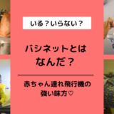 【JAL,ANA】バシネットとは？予約, 料金, 申込方法＆利用レポ【外国の航空会社】