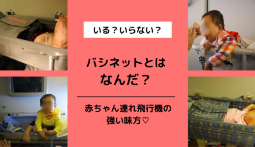 【JAL,ANA】バシネットとは？予約, 料金, 申込方法＆利用レポ【外国の航空会社】