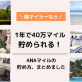 陸マイラーとは？大量ANAマイルの貯め方。1年間で40万ANAマイル貯まる！