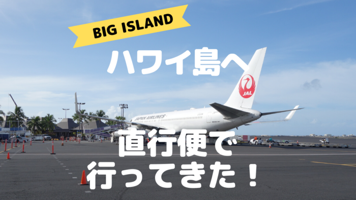 搭乗記 ハワイ島直行便の快適さはいかに Jal成田 コナ線をブログレビュー だいちぃマイルで子連れ旅行