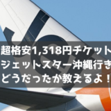 【驚愕の1,318円！】ジェットスターでセントレアから沖縄へ。空港・機内の様子と注意点を教えるよ！