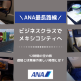 【搭乗記】ANAビジネスクラスに家族4人で乗ったレポ。メキシコシティ直行便！